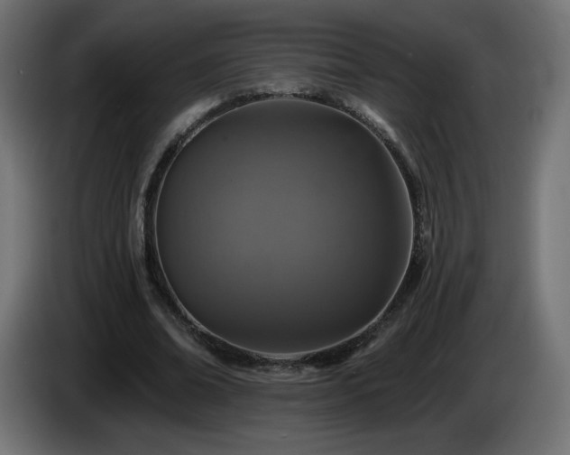 X0000085060678200703051439