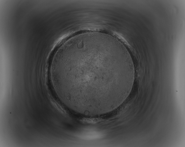 X0000085060679200703051439