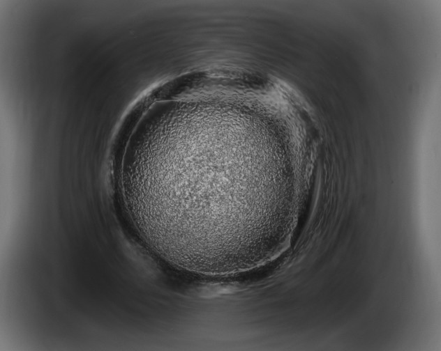 X0000085060680200703051439