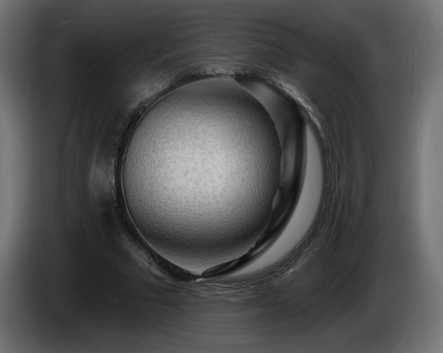 X0000085060681200703051439