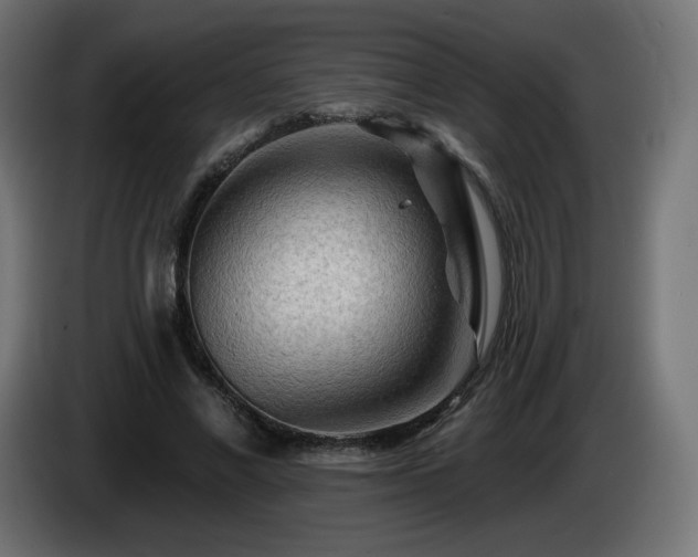 X0000085060685200703051439