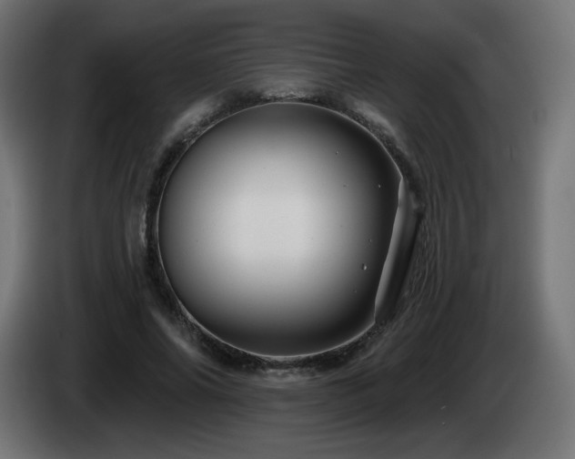 X0000085060686200703051439
