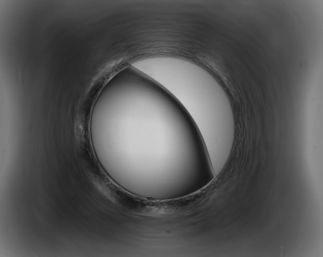 X0000085060688200703051439