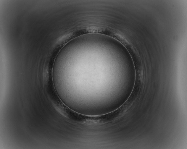 X0000085060690200703051439