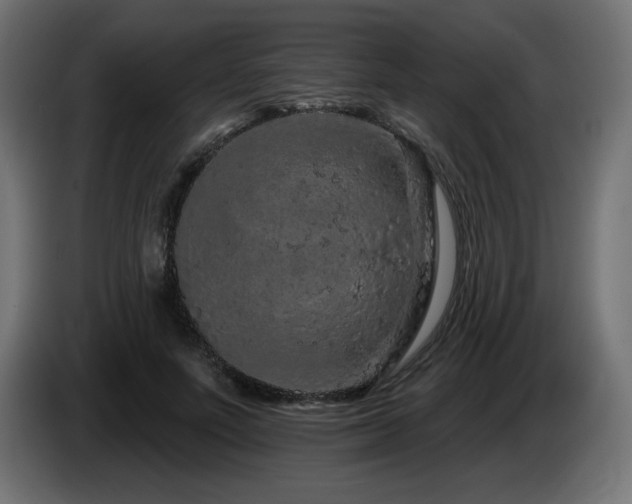 X0000085060691200703051439