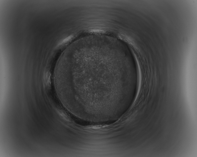 X0000085060692200703051439