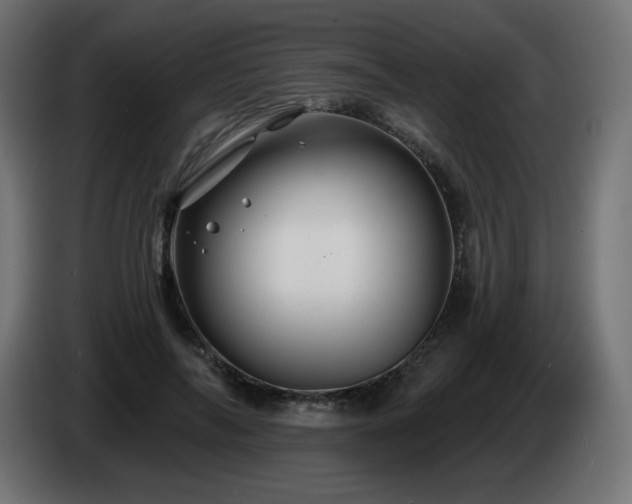 X0000085060694200703051439