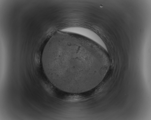 X0000085060695200703051439