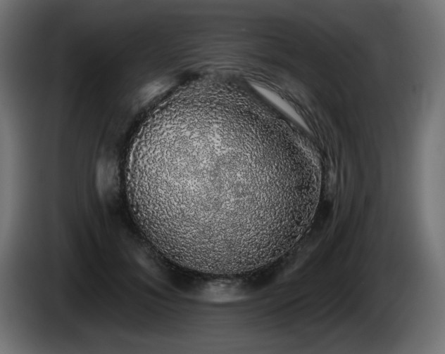 X0000085060700200703051439