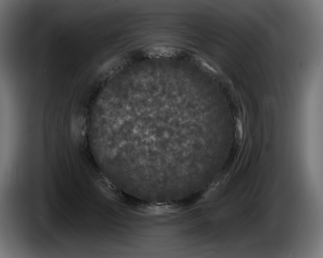 X0000085060701200703051439