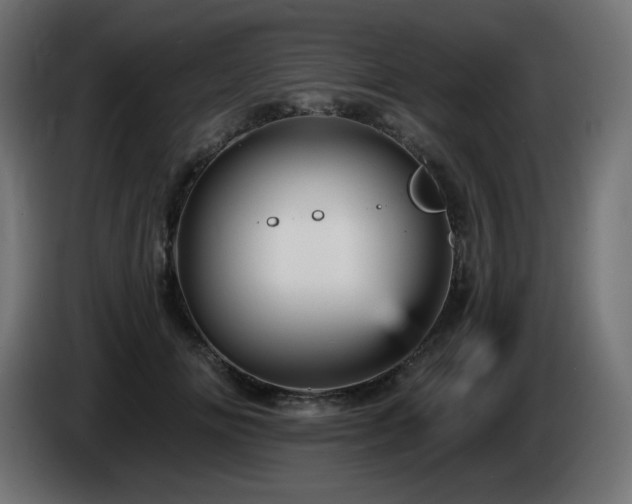 X0000085060702200703051439