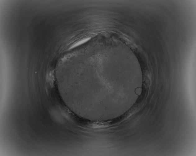 X0000085060707200703051439