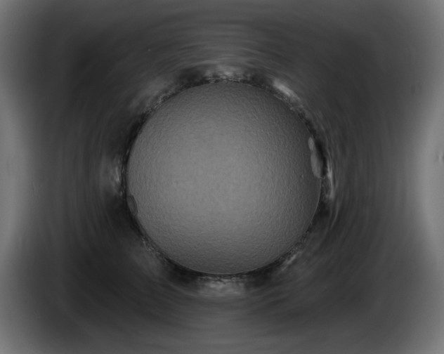 X0000085060709200703051439