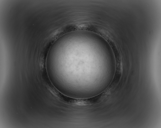 X0000085060710200703051439
