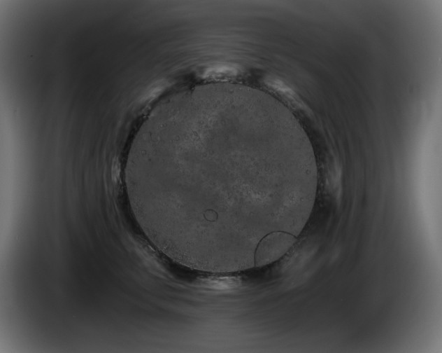 X0000085060711200703051439