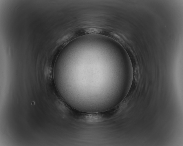 X0000085060714200703051439