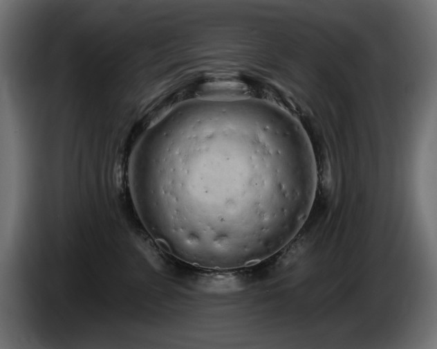 X0000085060715200703051439