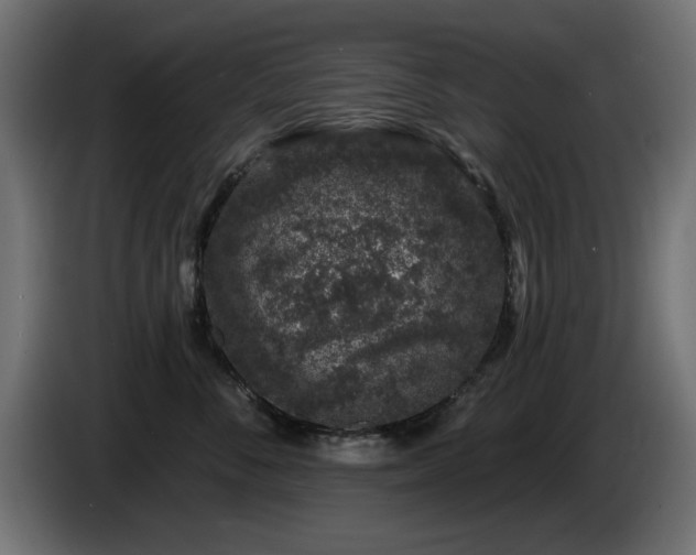 X0000085060716200703051439