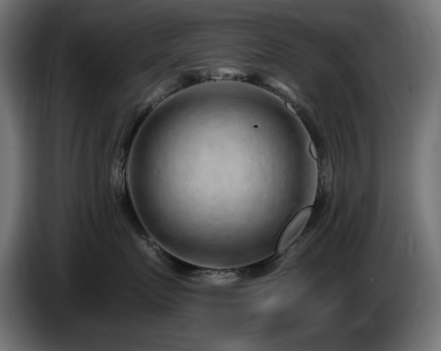 X0000085060719200703051439