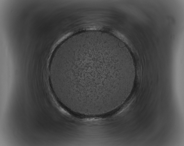 X0000085060721200703051438