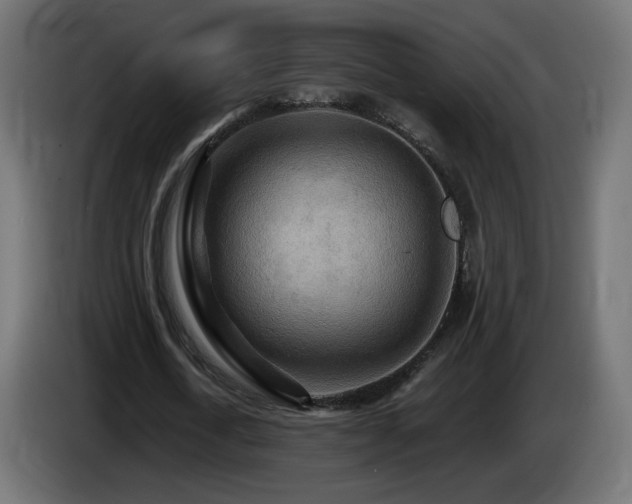 X0000085060722200703051438