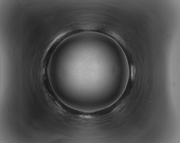 X0000085060723200703051438