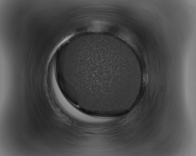 X0000085060724200703051438