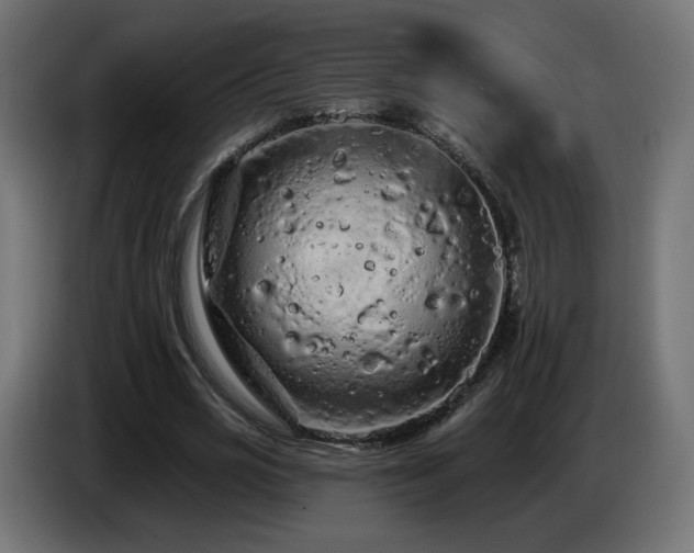 X0000085060725200703051438