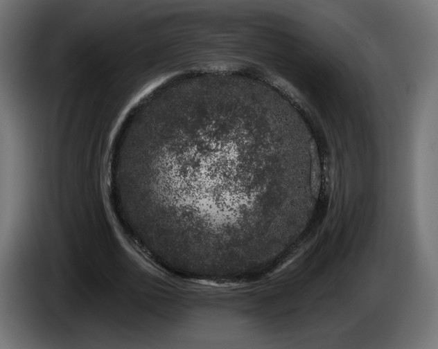 X0000085060726200703051438