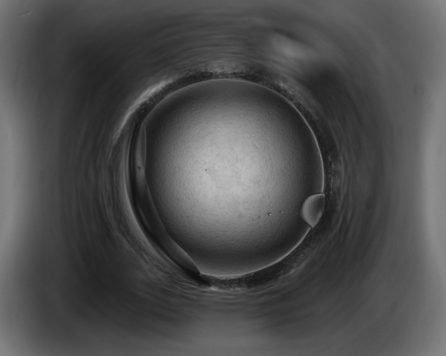 X0000085060727200703051438