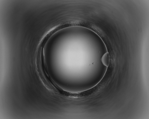 X0000085060728200703051438