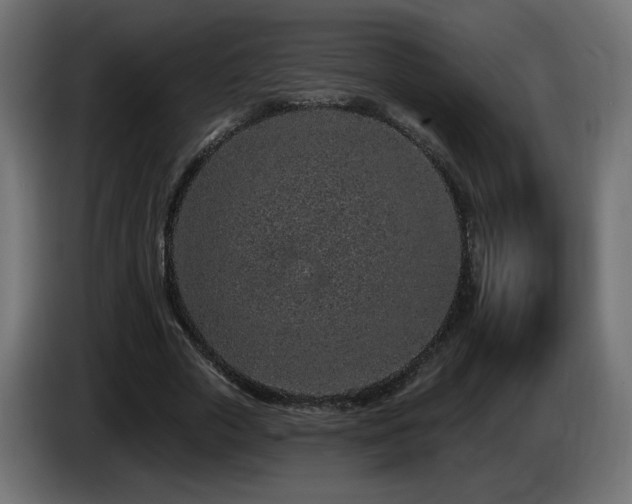 X0000085060729200703051438