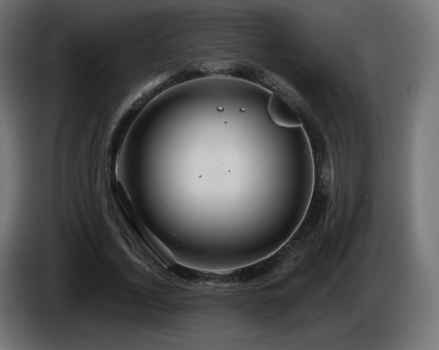 X0000085060732200703051438