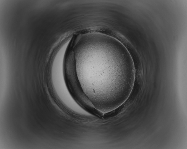 X0000085060734200703051438