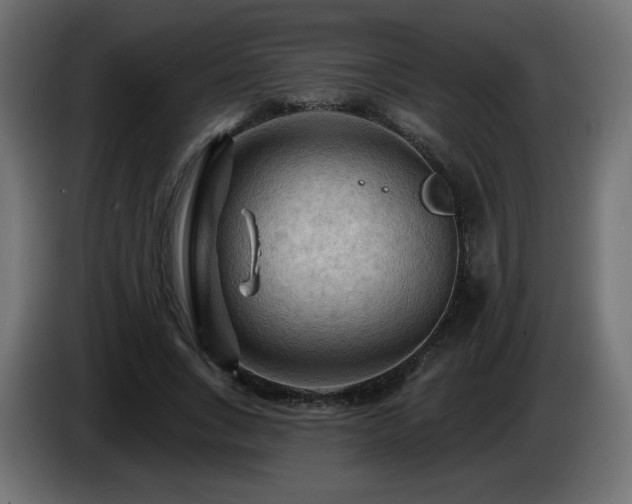 X0000085060735200703051438