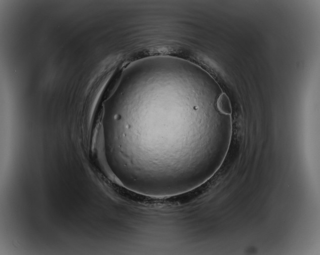 X0000085060738200703051438