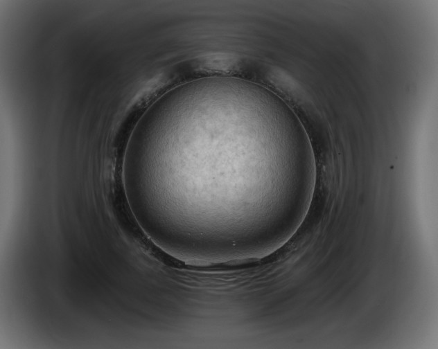 X0000085060739200703051438