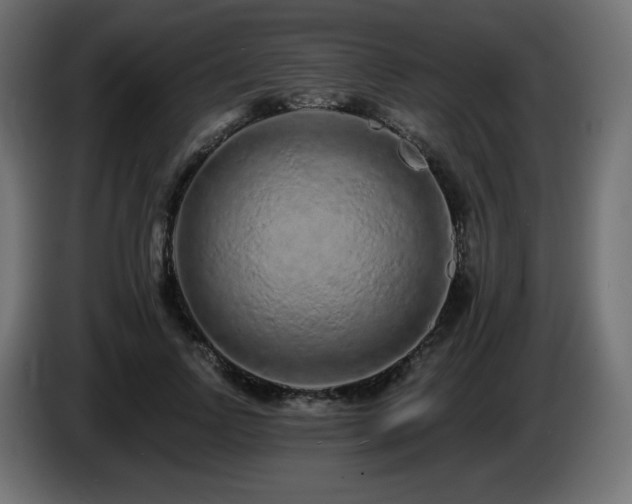 X0000085060742200703051438