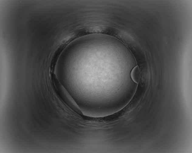 X0000085060743200703051438