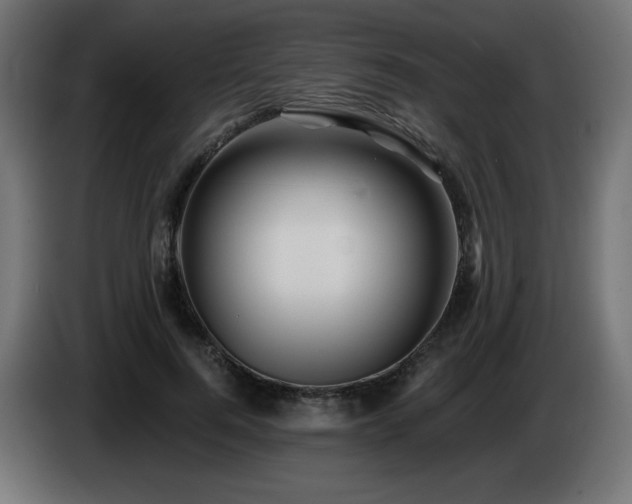 X0000085060744200703051438