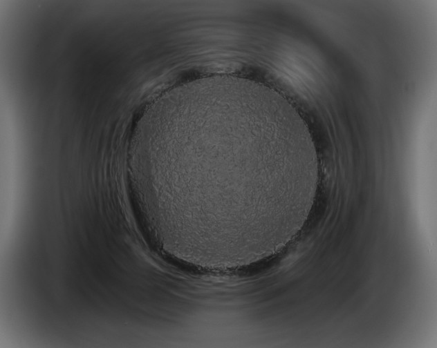 X0000085060745200703051438