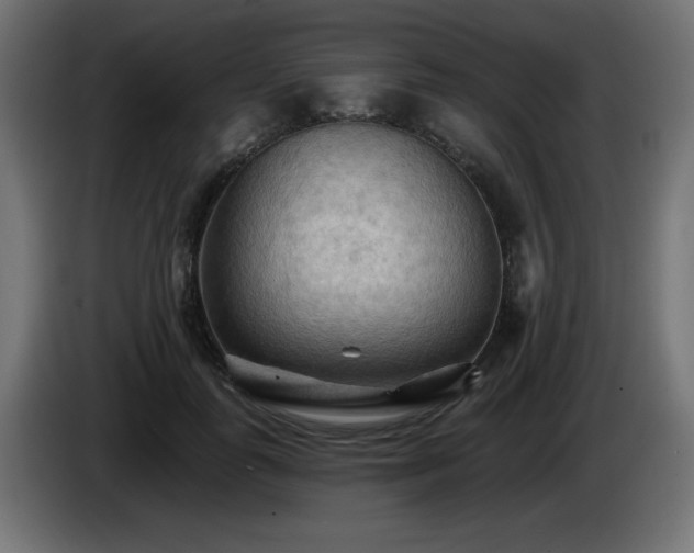 X0000085060747200703051438