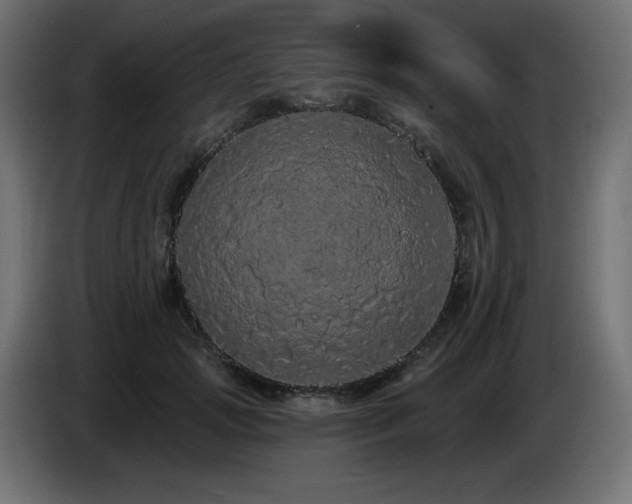 X0000085060749200703051438