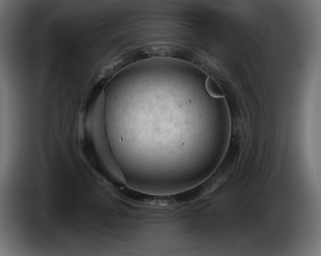X0000085060751200703051438