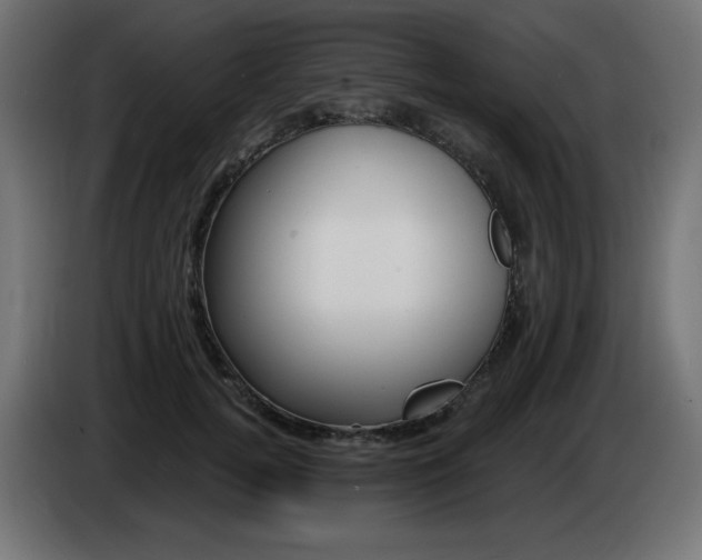 X0000085060752200703051438