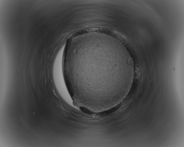 X0000085060753200703051438