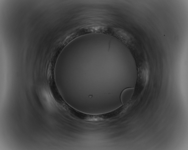 X0000085060754200703051438