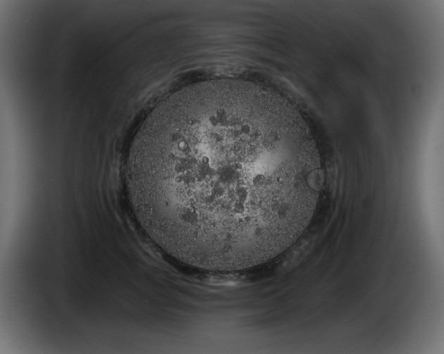 X0000085060757200703051439