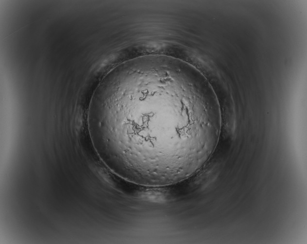X0000085060758200703051439