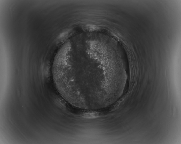 X0000085060760200703051439